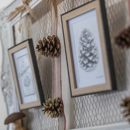 펜션 Bachale Lamothe (Landes)