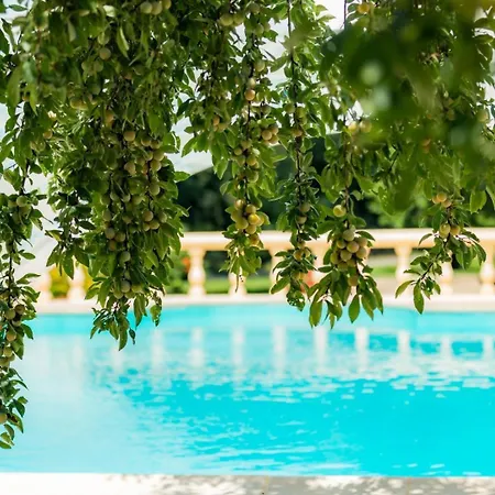 Vakantiehuis Bachale Lamothe (Landes)