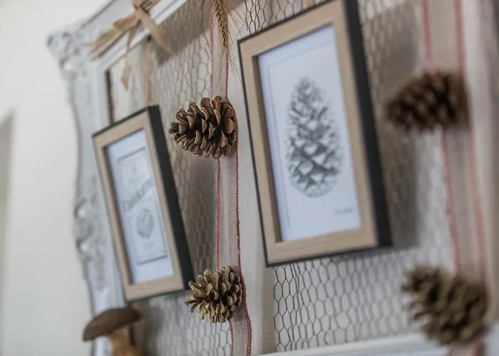 Casa vacanze Bachale Lamothe (Landes)